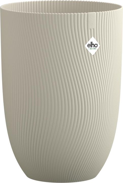 Beige, Braun, Pilzbeige