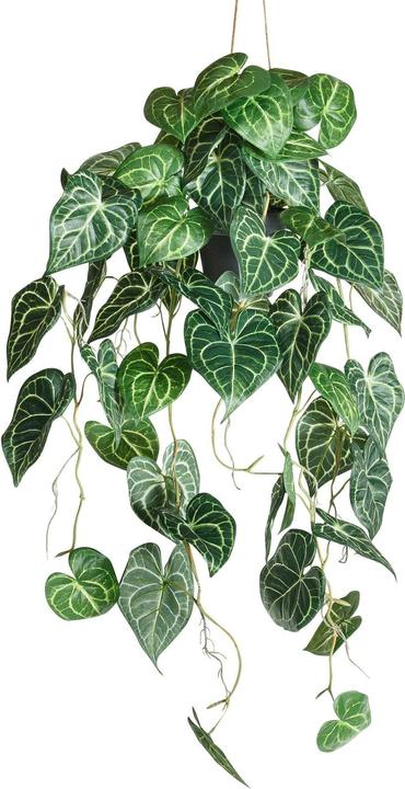 Image du produit Botanic-Haus Anthurium (87 cm)
