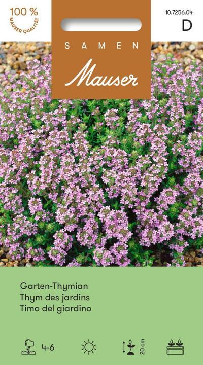 Actual product image Samen Mauser Garden thyme (Herb seeds)