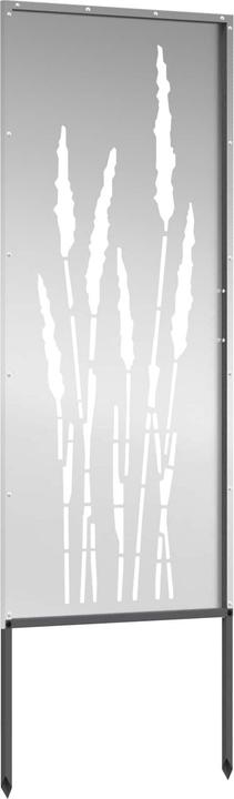 Produktbild vidaXL Gartensichtschutz (50 cm)