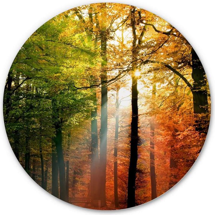 Produktbild Trenddeko Goldener Herbst (70 x 70 cm)