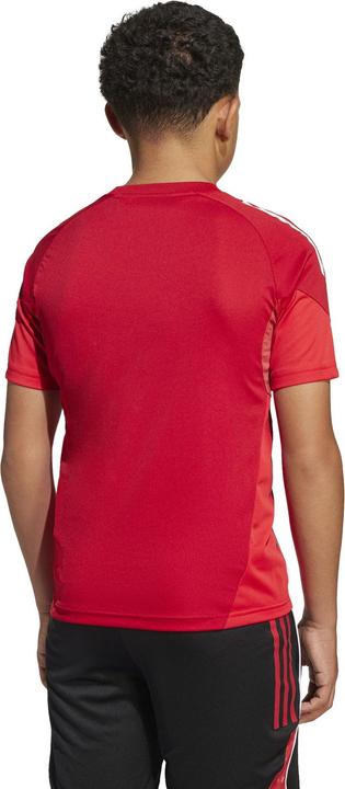 Actual product image adidas TIRO25C TR JSYY (128)