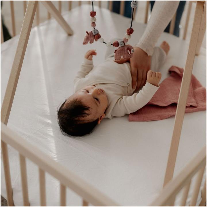 Immagine prodotto Sämann Premium (100 cm, 100 cm, Faggio)