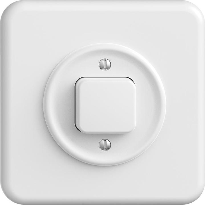 Actual product image Feller UP cross switch unlit SCH6/1p white