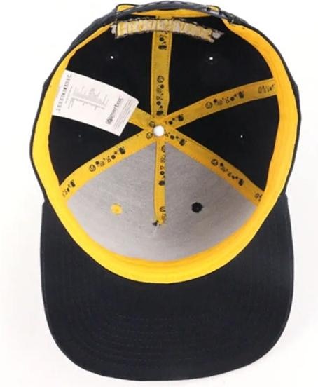 Actual product image DEVplus Borderlands Snapback Cap Vault Icon Spray