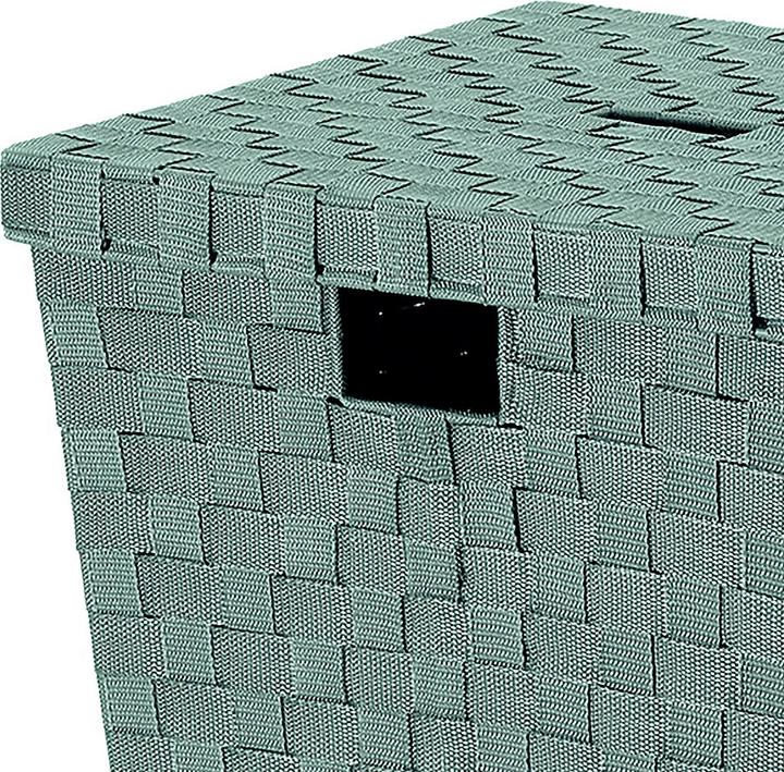 Produktbild Kela Wäschebox Alvaro lindgrün