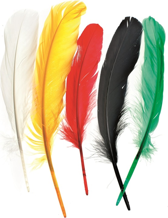 Immagine prodotto Glorex Piuma indiana 16cm ca.15pcs mix