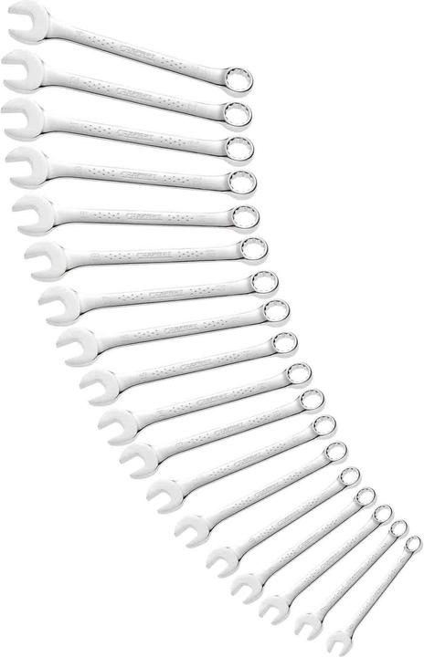 Expert by Facom 18 Pcs Metric Combination Wrench Set (19 mm, 24 mm, 6 mm, 8 mm)