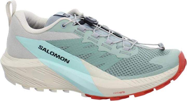 Image du produit Salomon Sense Ride 5 (40)