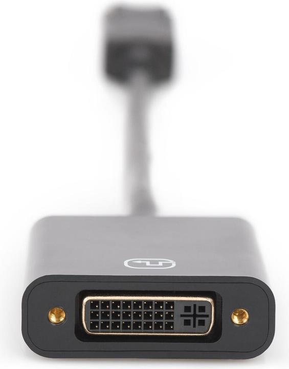 Image du produit Digitus DisplayPort vers (DVI, 15 cm)