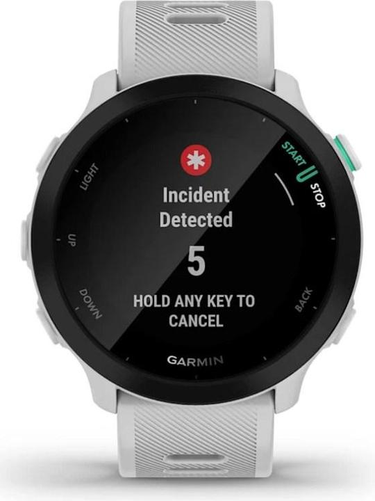 Actual product image Garmin Smartwatch Forerunner 55 (42 mm)