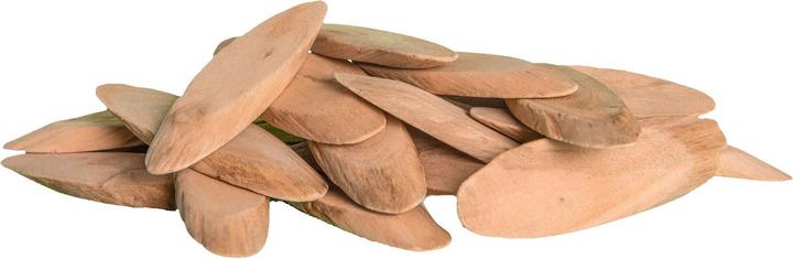 Immagine prodotto Colorations Dischi di legno