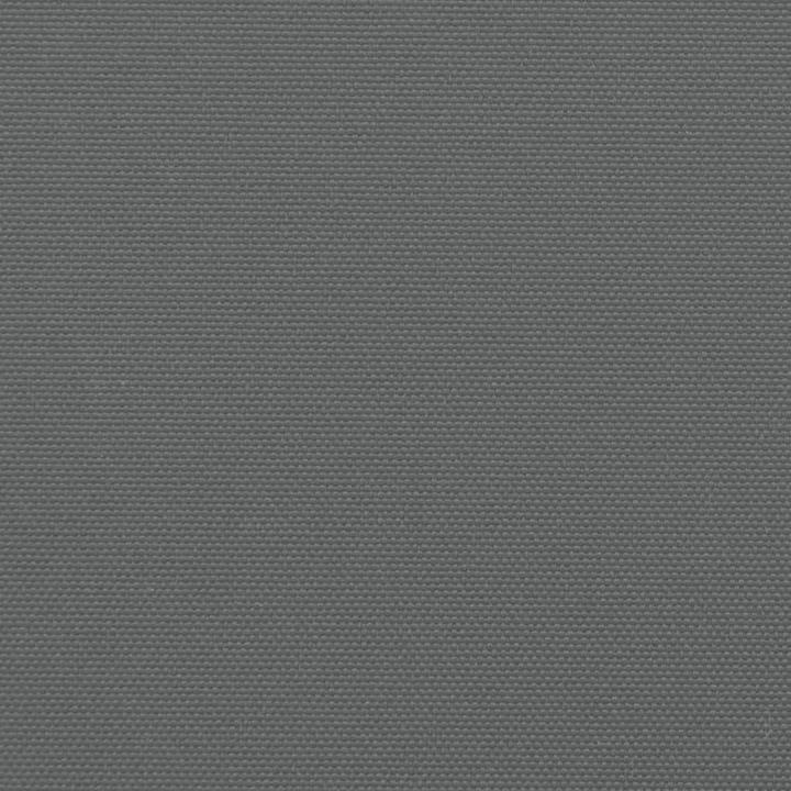 Produktbild vidaXL Seitenmarkise Ausziehbar (10 m)