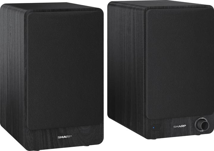 Actual product image Sharp CP-SS30 (1 pair, 60 W)