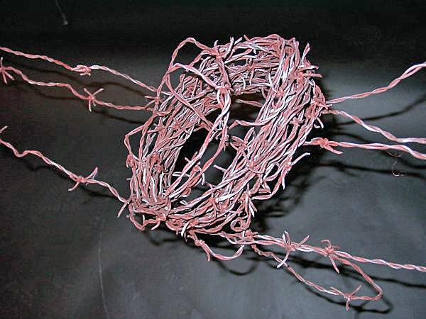 Produktbild Stacheldraht 24m (24 m)