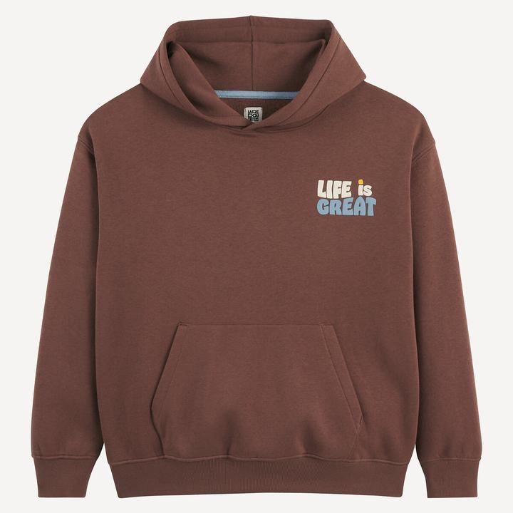 Produktbild La Redoute Collections Bedrucktes Oversize-Sweatshirt mit Kapuze (128)