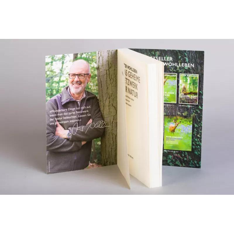 Thumbnail - Das geheime Netzwerk der Natur, Sachbücher von Peter Wohlleben