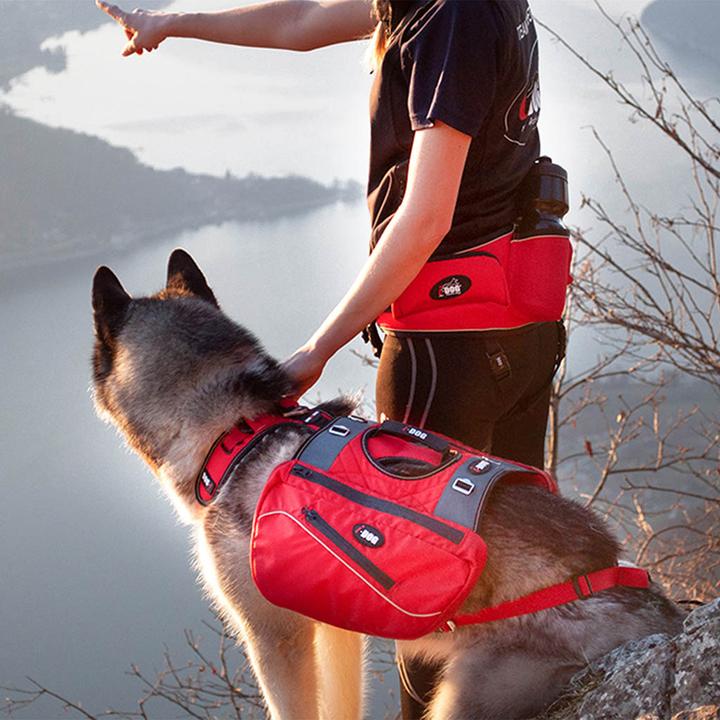 Actual product image i-DOG Confort Trek (XS, Dog, General)