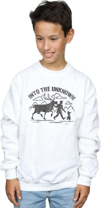 Produktbild Disney Frozen 2 Into The Unknown Sweatshirt Jungen (140, 146)