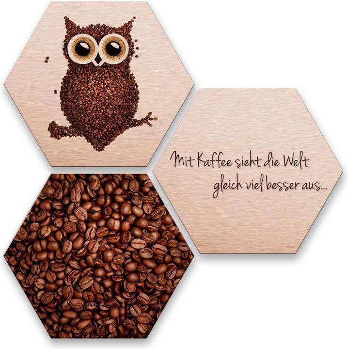 Trenddeko Bild Hexagon Kaffeeeule 3er Set, Aluminium