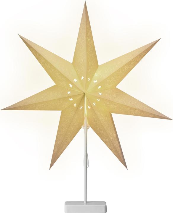 Casaria Paper star
