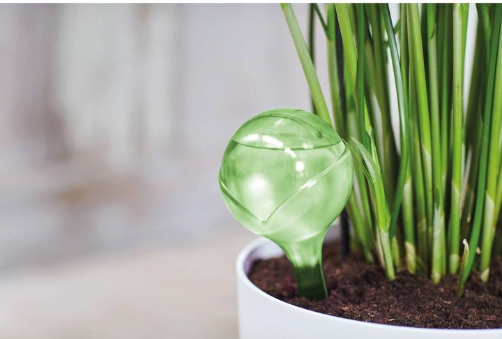 Actual product image Elho aqua care lime (Irrigation balls)