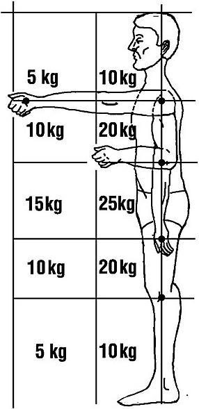 Produktbild kaiserkraft Minilift (150 kg)