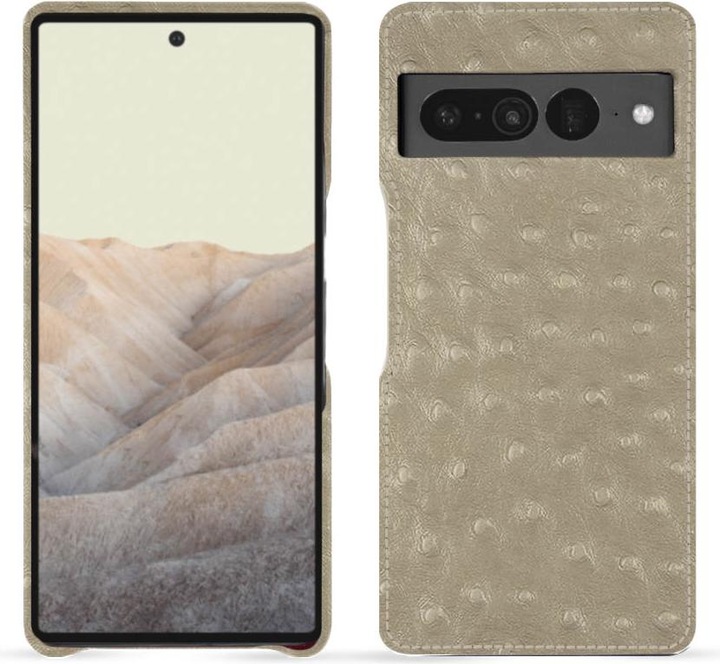 Autruche desert ( Pantone #A39382 )