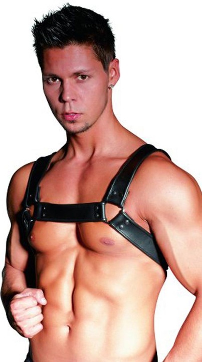 Actual product image Zado Chest Harness (M)