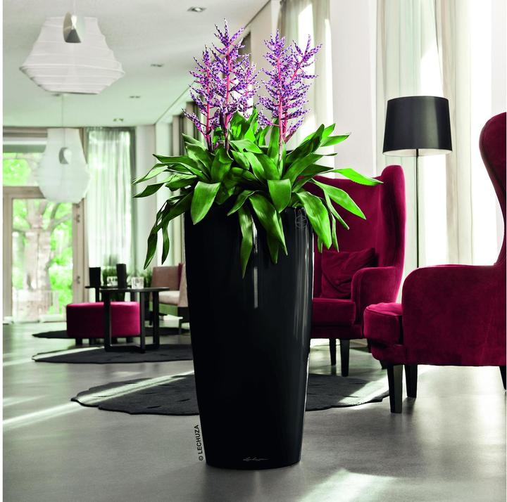 Immagine prodotto Lechuza Rondo (40 x 75 cm)