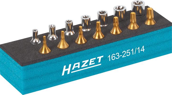 Produktbild HAZET Werkzeug Satz ∙ TORX 163-251/14 ∙ Vierkant6,3 mm (1/4 Zoll) ∙ Aussen TORX Profil, Innen TORX…