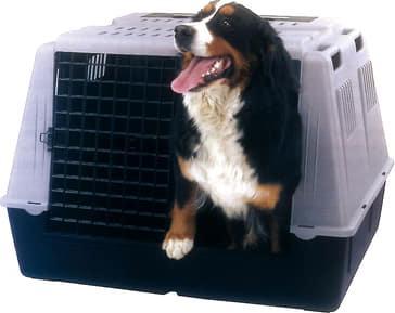 Image du produit Ferplast Atlas Car Maxi (Chien, Verrouillable, Respirant)