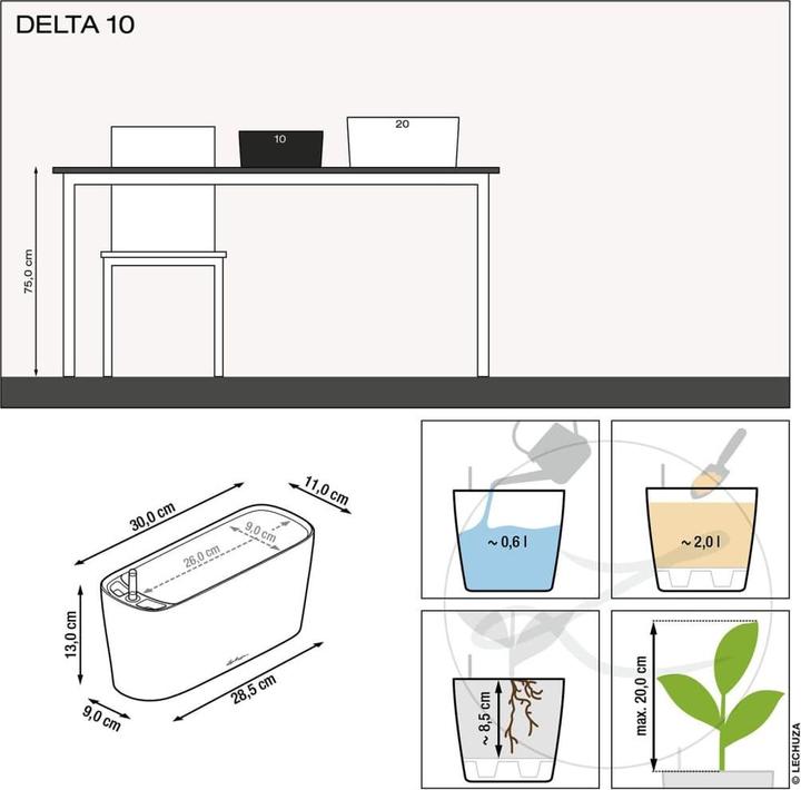 Actual product image Lechuza Delta (11 cm)