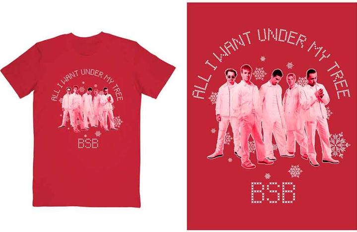 Backstreet Boys All I Want Xmas