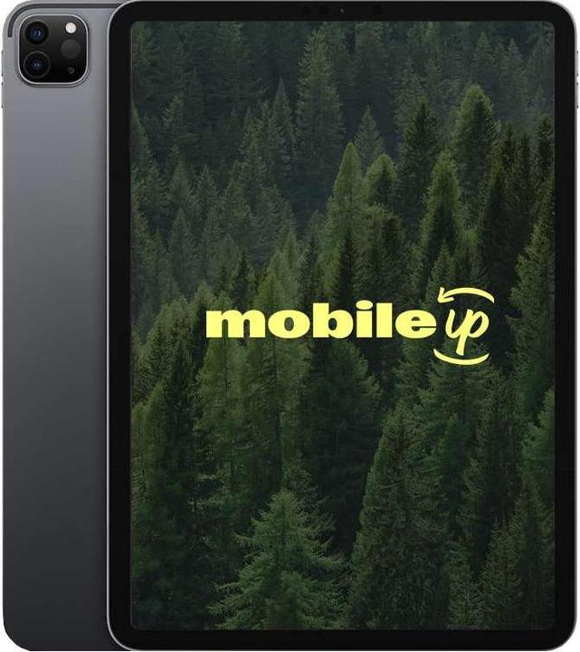 mobileup 11" Apple iPad Pro 2020 (2. Gen) (11", 256 GB, Space Gray, A / Wie neu)