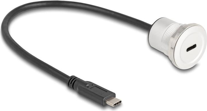 Actual product image Delock USB 10 Gbps Type-C panel mount socket with cable whip Ste (0.30 m, USB 3.2 Gen 2)