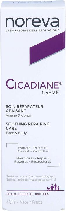 Cicadiane Haut Wundpflege Creme Creme (40 ml)