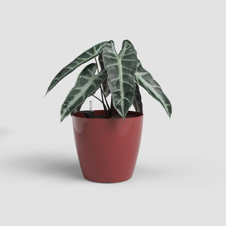 Image du produit Artevasi San Remo Pot Sws