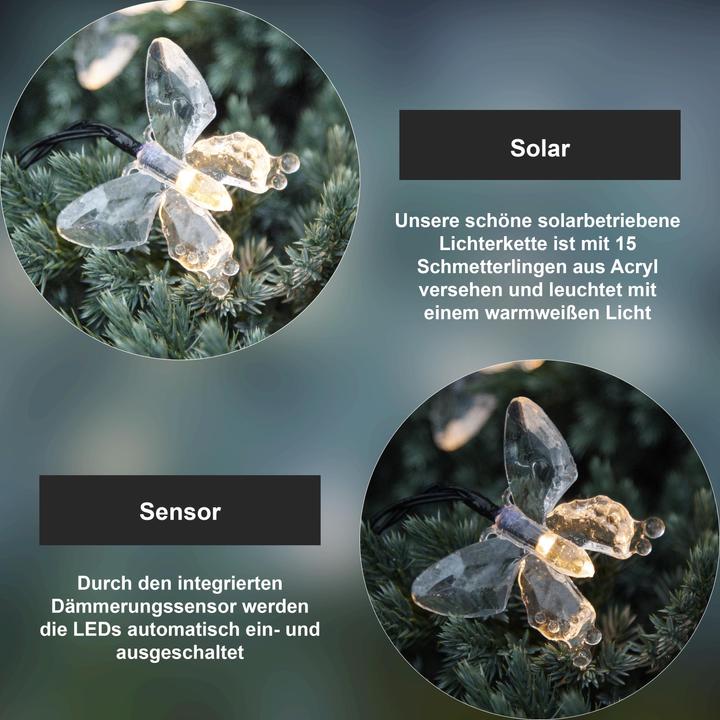 Immagine prodotto Star Trading Papillon (0.18 m)