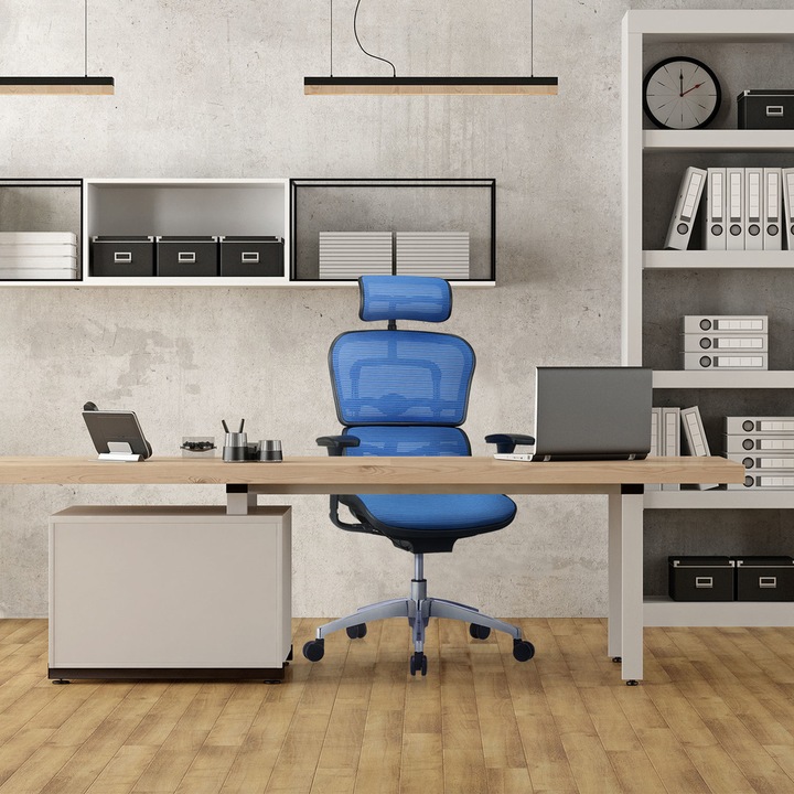 Image du produit Hjh Office Ergohuman Edition