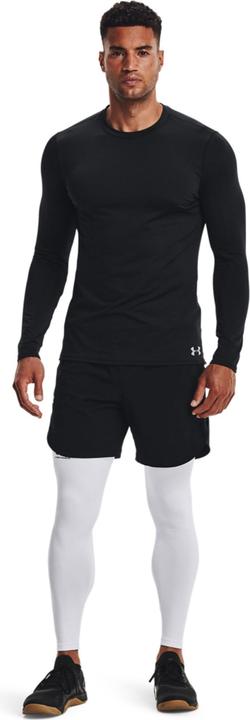 Actual product image Under Armour ColdGear functional tights men (L)