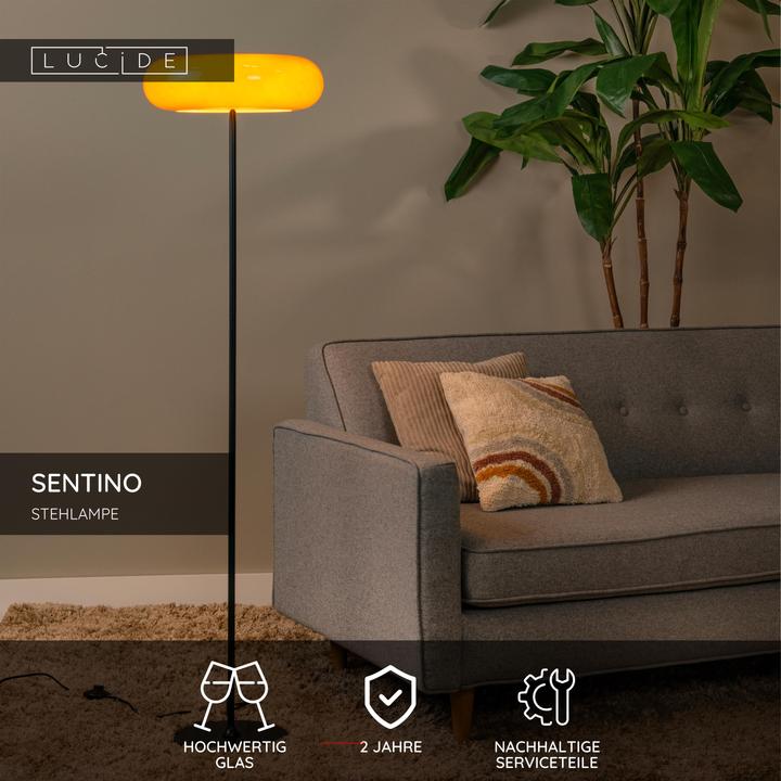 Actual product image Lucide Sentino (G9)