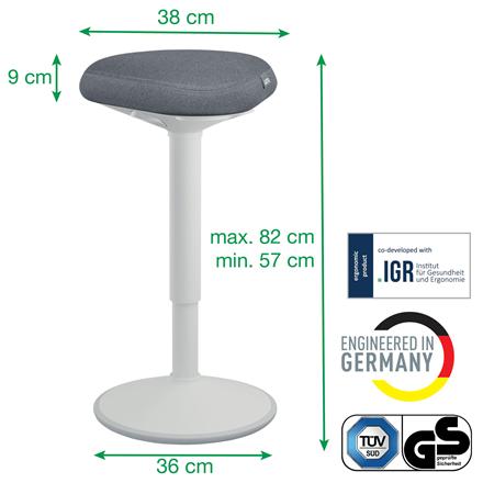 Actual product image Leitz Ergo Active