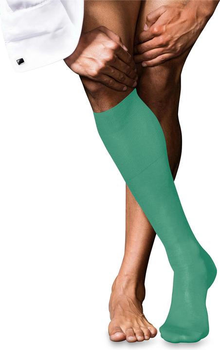 Image du produit Falke No. 9 Pure Fil d'Écosse Herren (39 - 40)