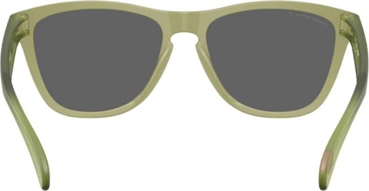 Actual product image Oakley Frogskins