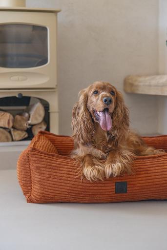 Actual product image Designed by Lotte Ribbed (Dog)