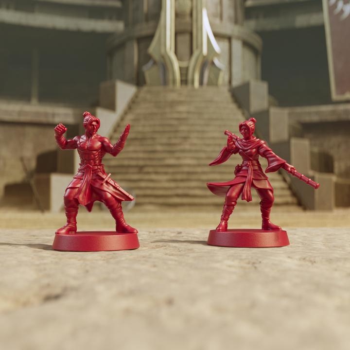 Image du produit Hasbro Miniatures de la HeroQuest Hero Collection Path of the Wandering Monk *Version anglaise*.