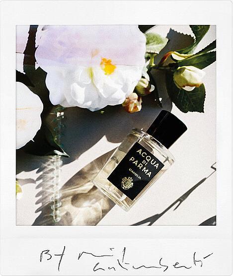 Image du produit Acqua Di Parma Camelia (Eau de parfum, 180 ml)