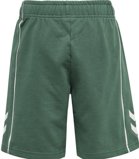 Actual product image hummel Hmldexter Shorts (122)