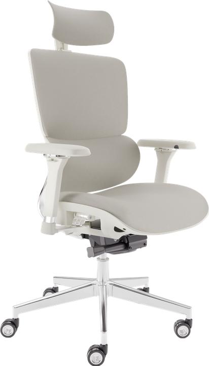 Clouvou MasterSeat (49 - 59 cm)